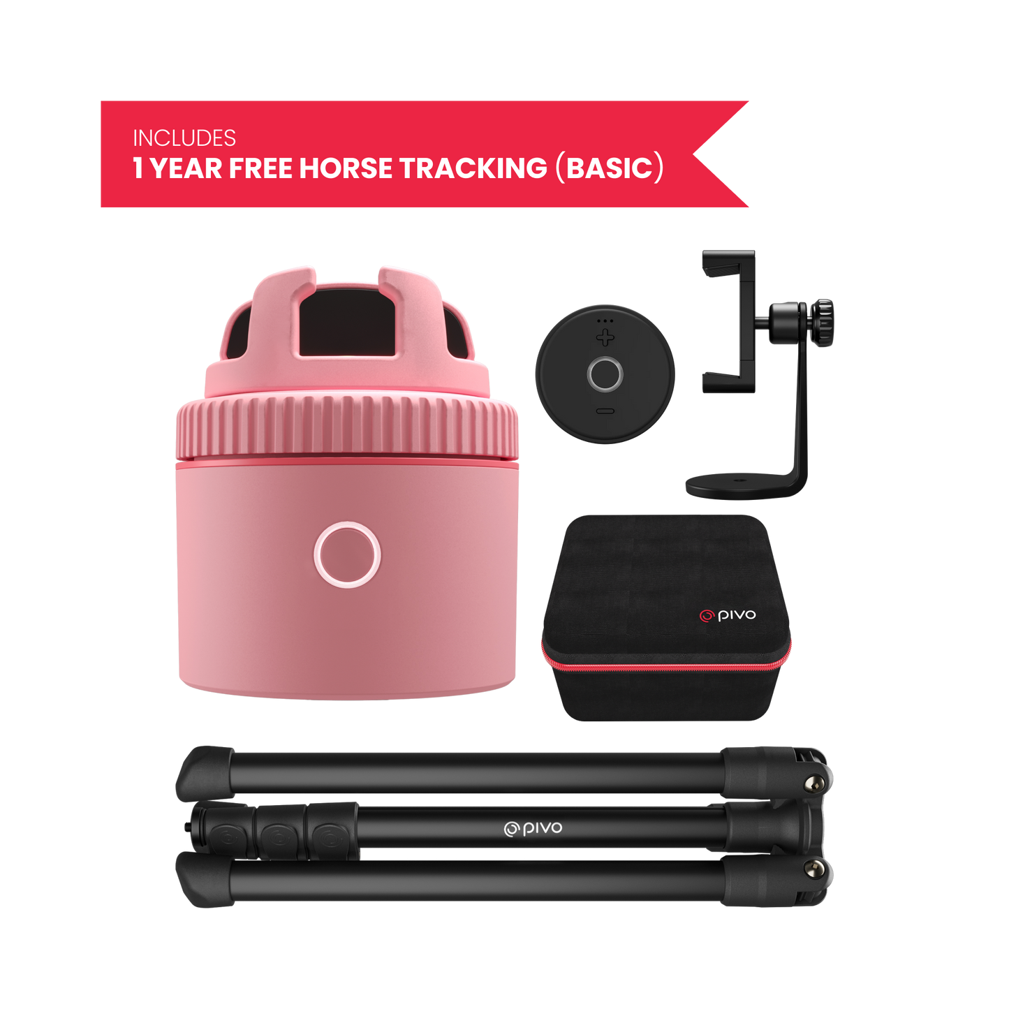 Pink / Equestrian Virtual Lesson Pack