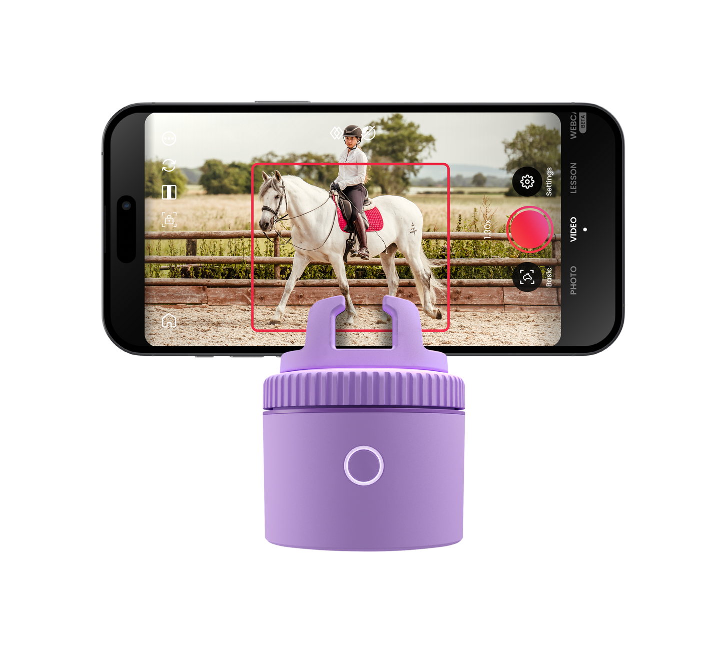 Purple / Equestrian Starter Pack | Purple / Equestrian Essential Pack | Purple / Equestrian Virtual Lesson Pack